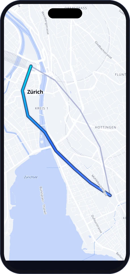 Tageskarte mit Route durch Zürich